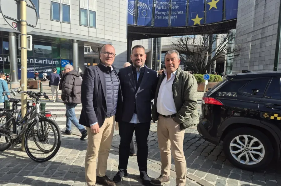 Almaraz lleva su futuro al corazón de Europa